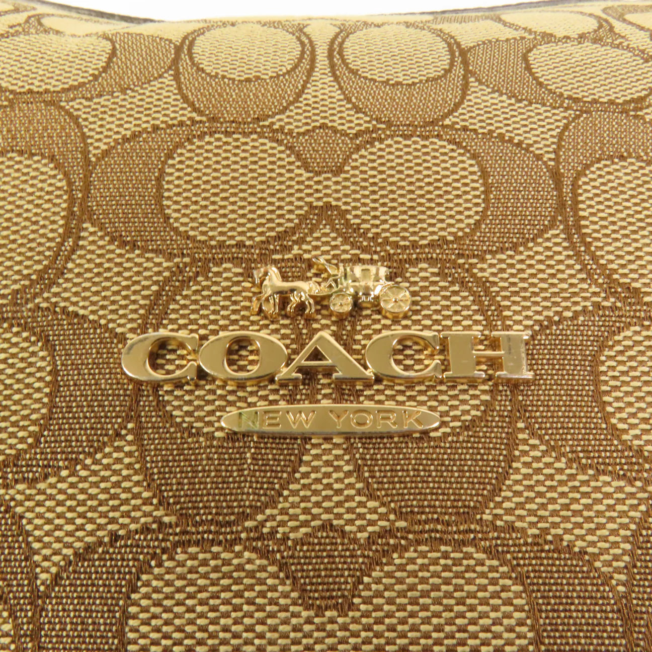 Coach Aria bag